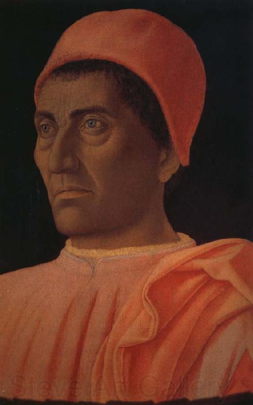 Andrea Mantegna Medici portrait Spain oil painting art